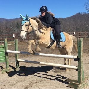 Meet your Posher, Haley